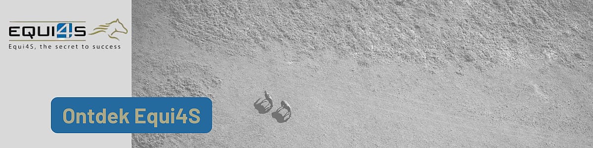 Zeilboot, Voertuig, Natuur, Buitenshuis, Zee